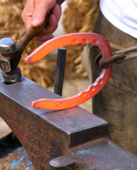 Farrier Tongs